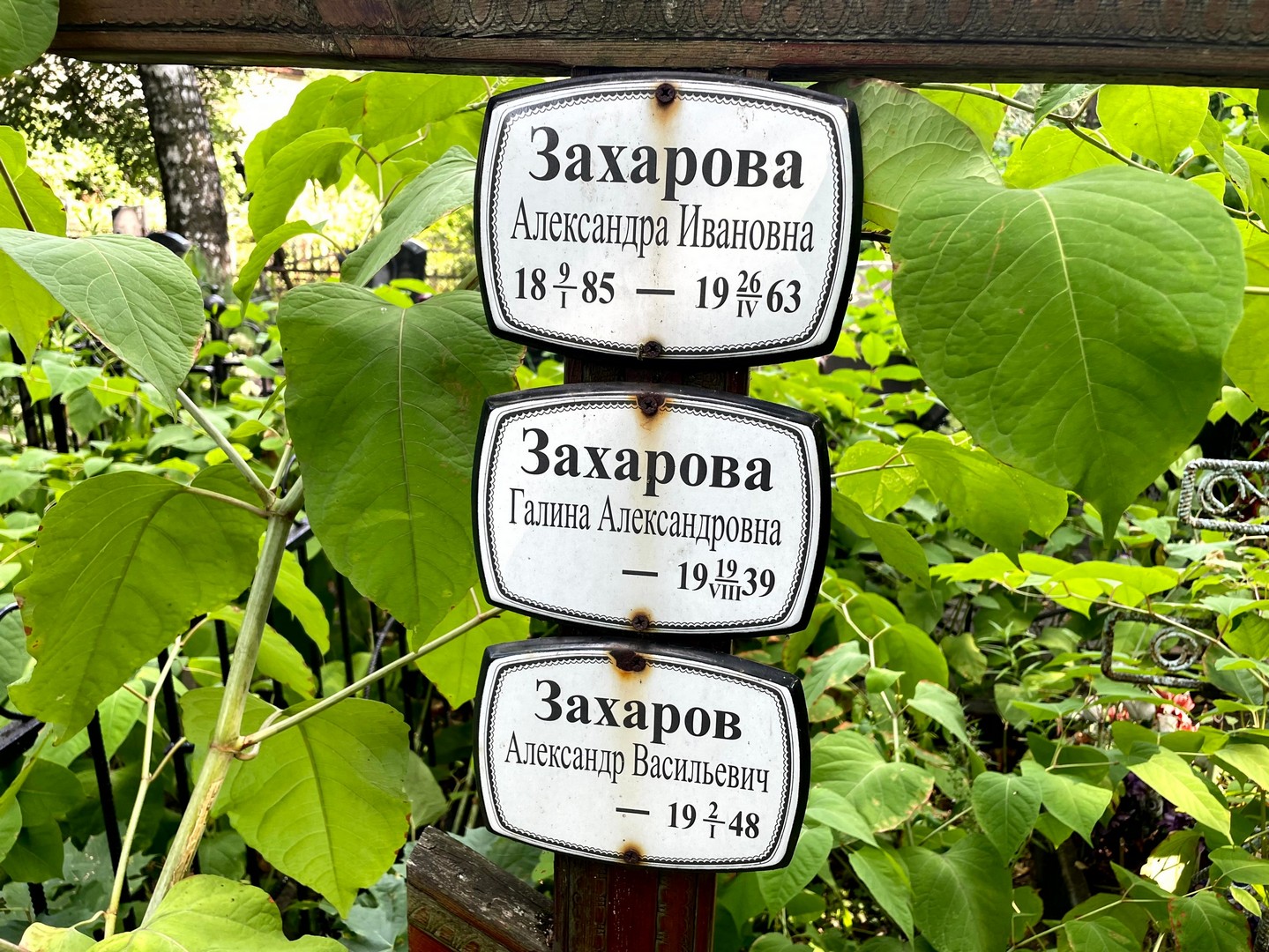 Захарова Александра Ивановна