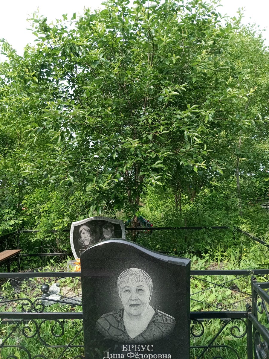 Бреус Дина Федоровна