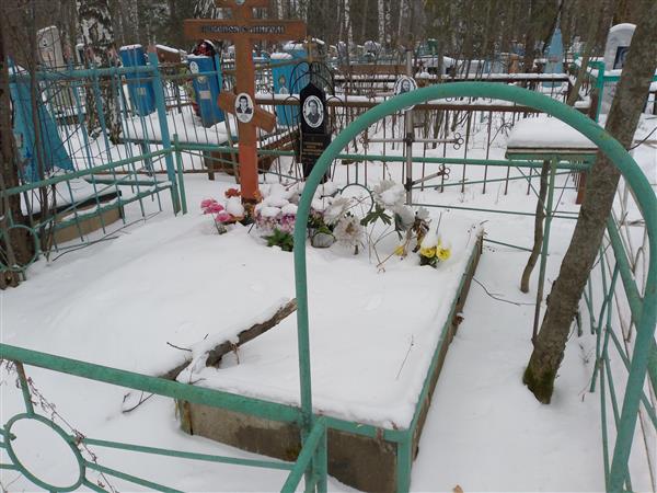 Редькина Вера Николаевна