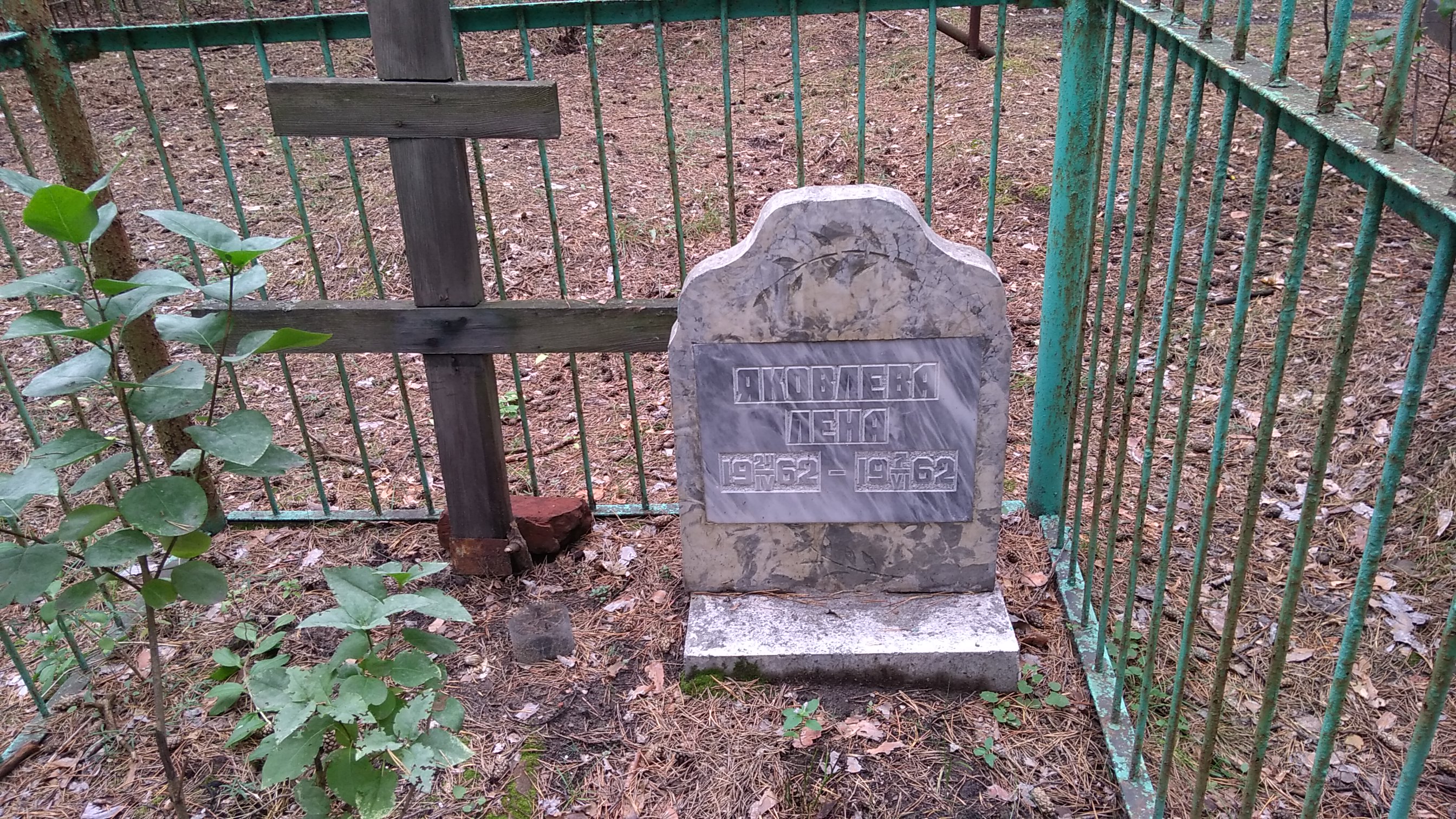 Яковлева Лена Елена