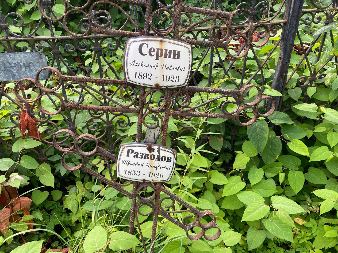 Серин