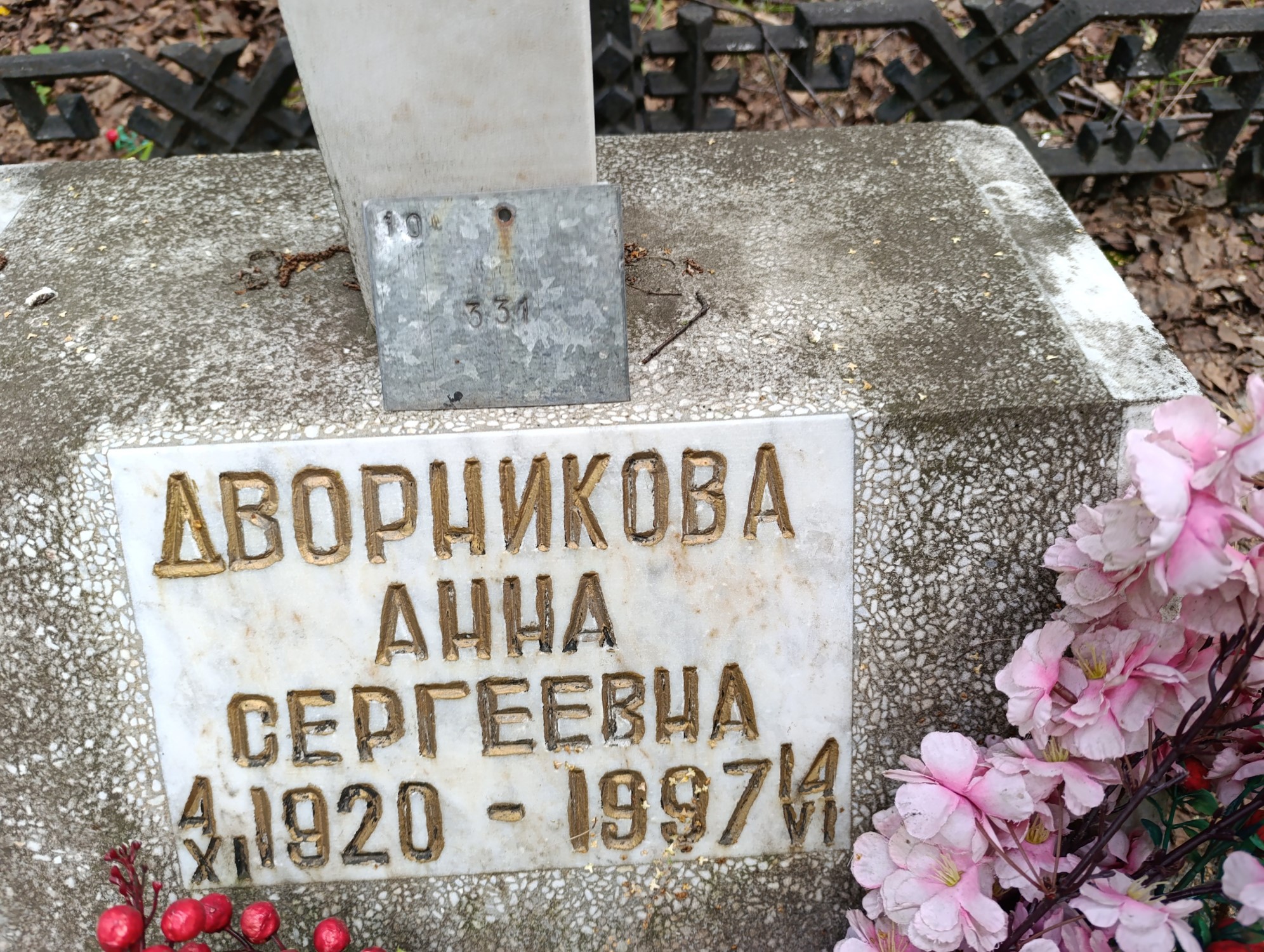 Дворникова Анна Сергеевна