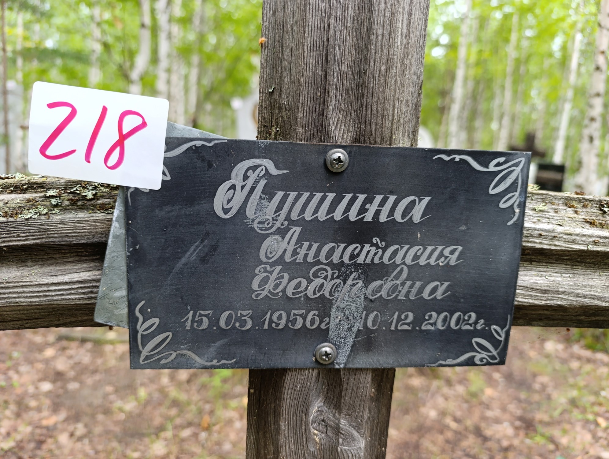 Пушина Анастасия Федоровна