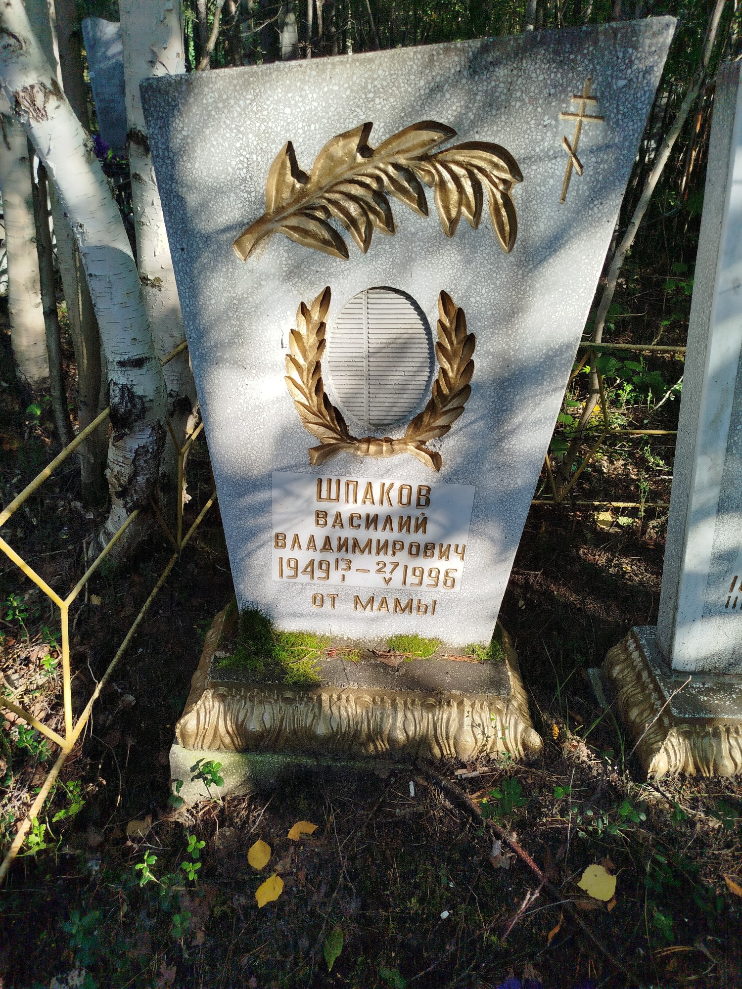 Шпаков Василий Владимирович