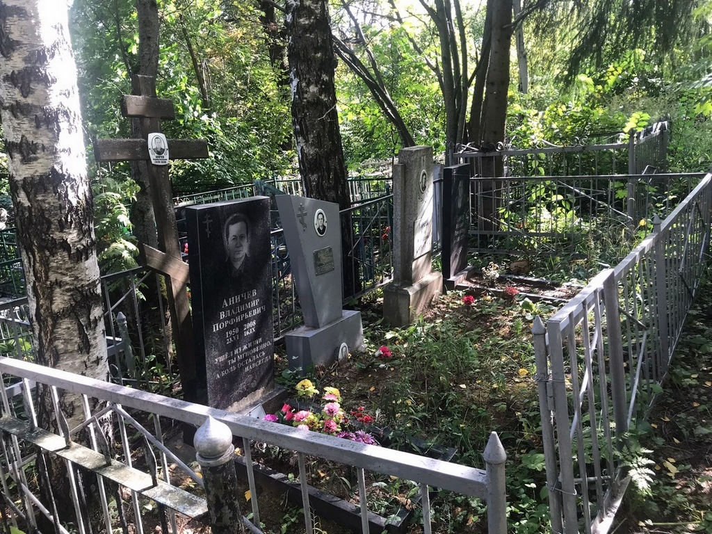Аничев Александр Порфирьевич