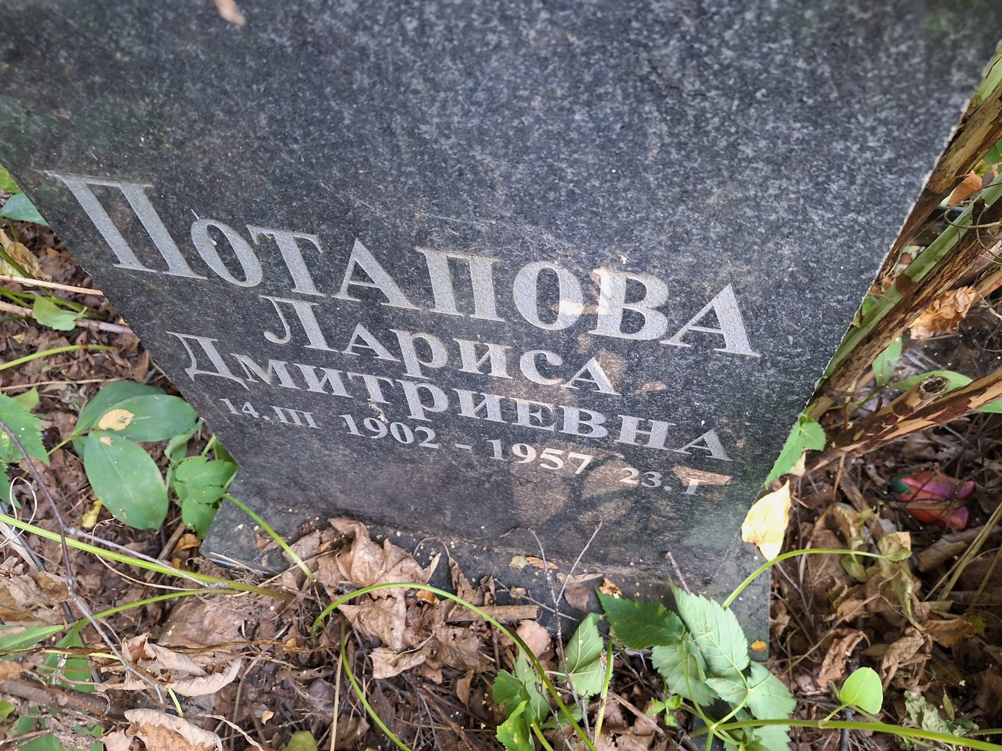 Потапова