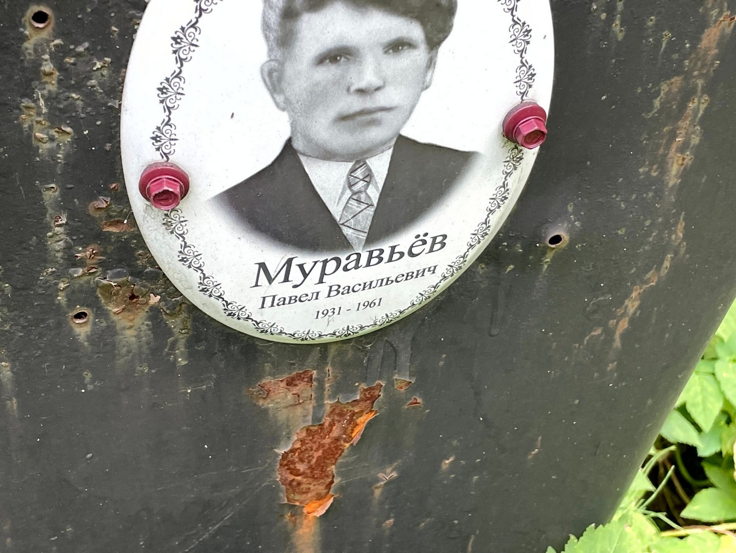 Муравьев