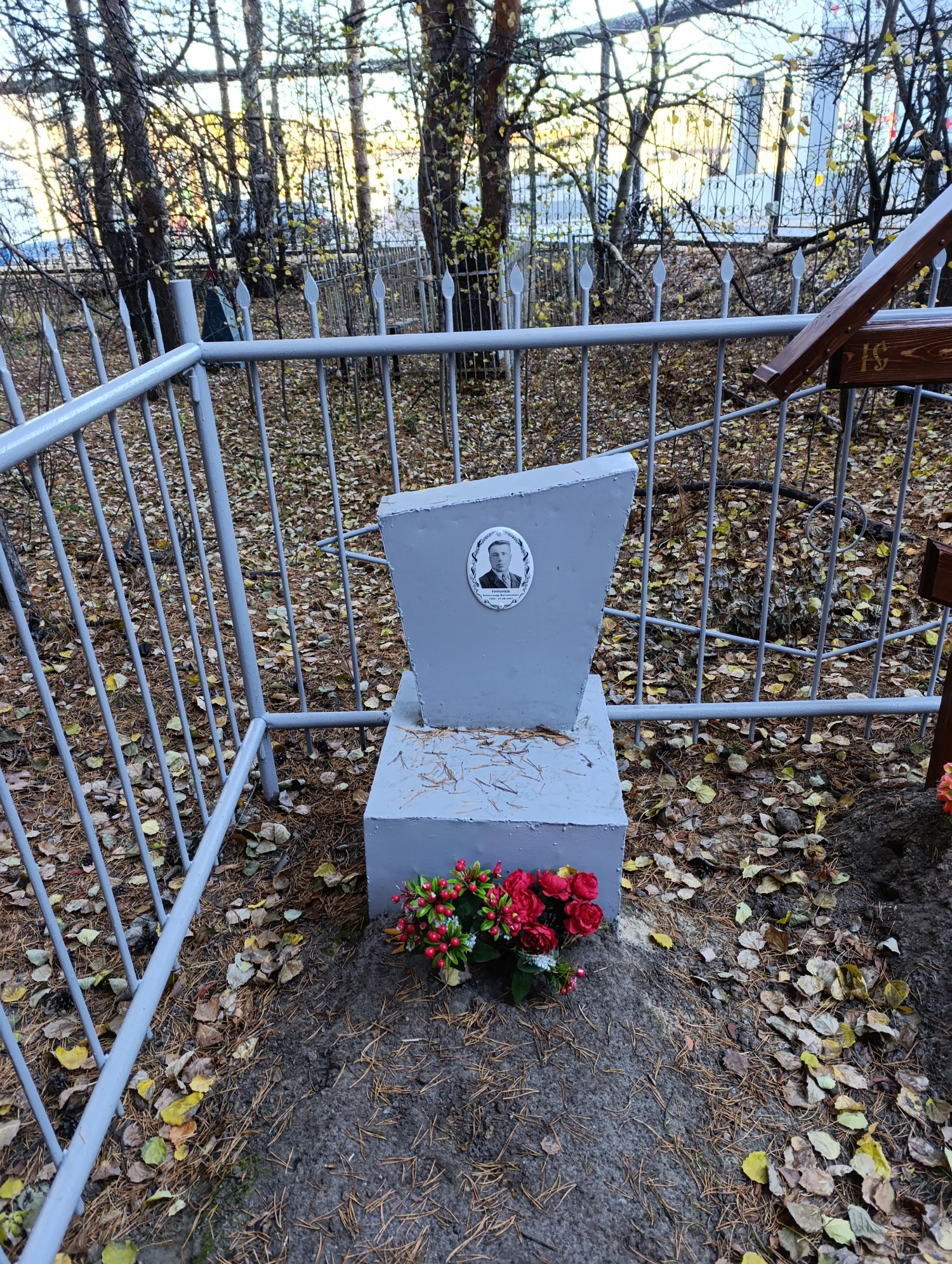 Туполев Александр Васильевич