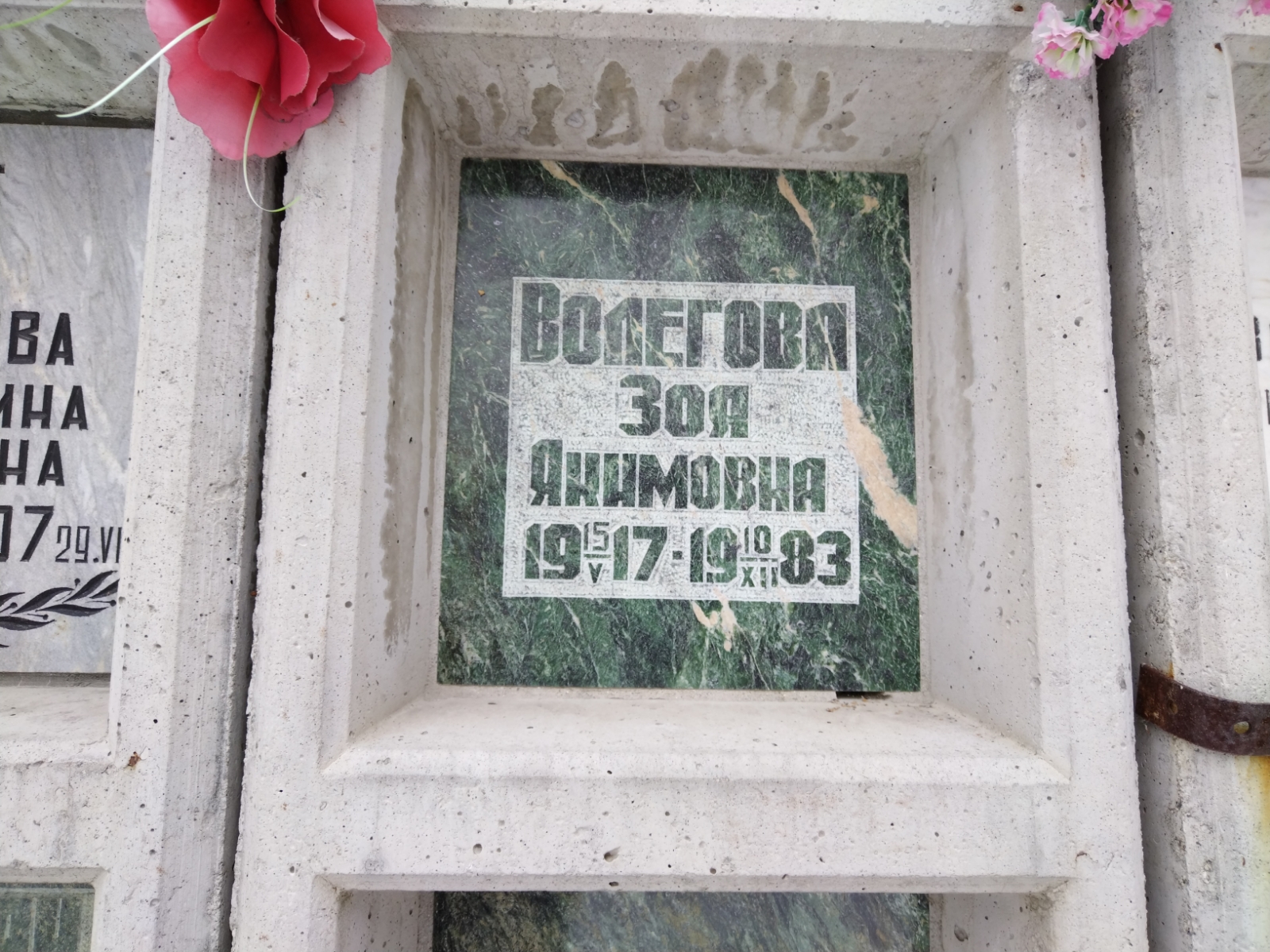 Волегова Зоя Якимовна