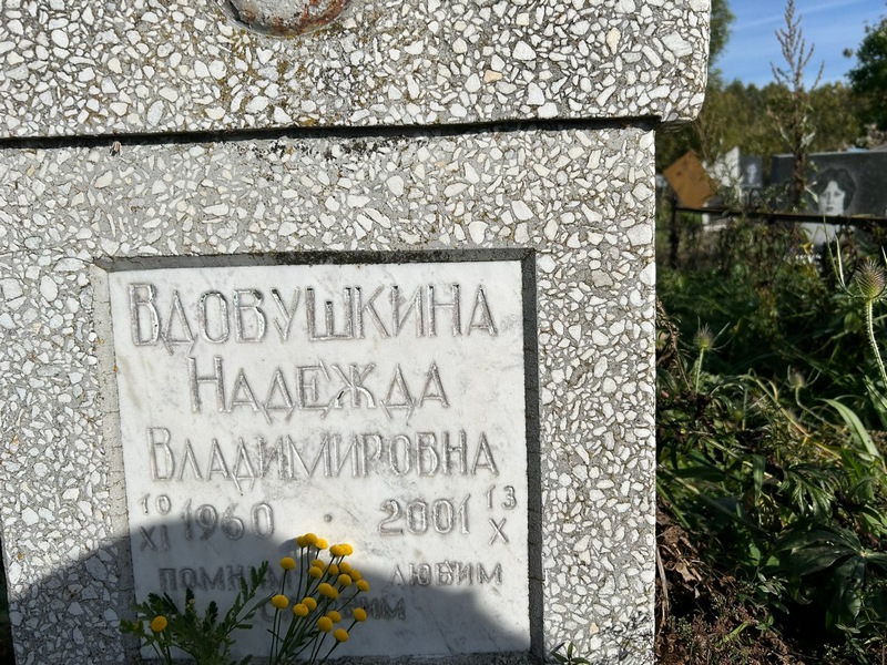 Вдовушкина