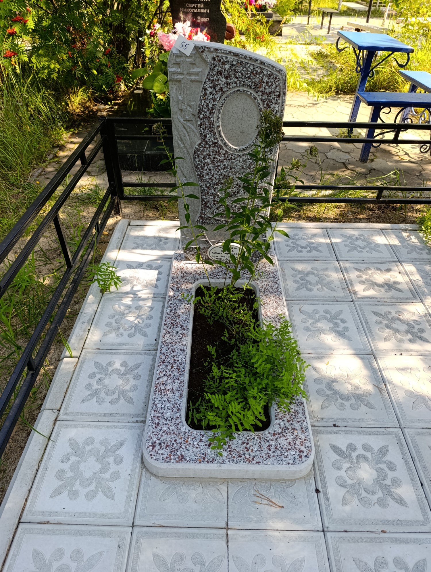 Шеина Тамара Эдмундовна
