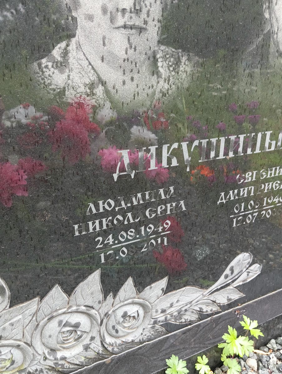 Дикушина Людмила Николаевна