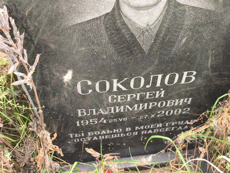 Соколов