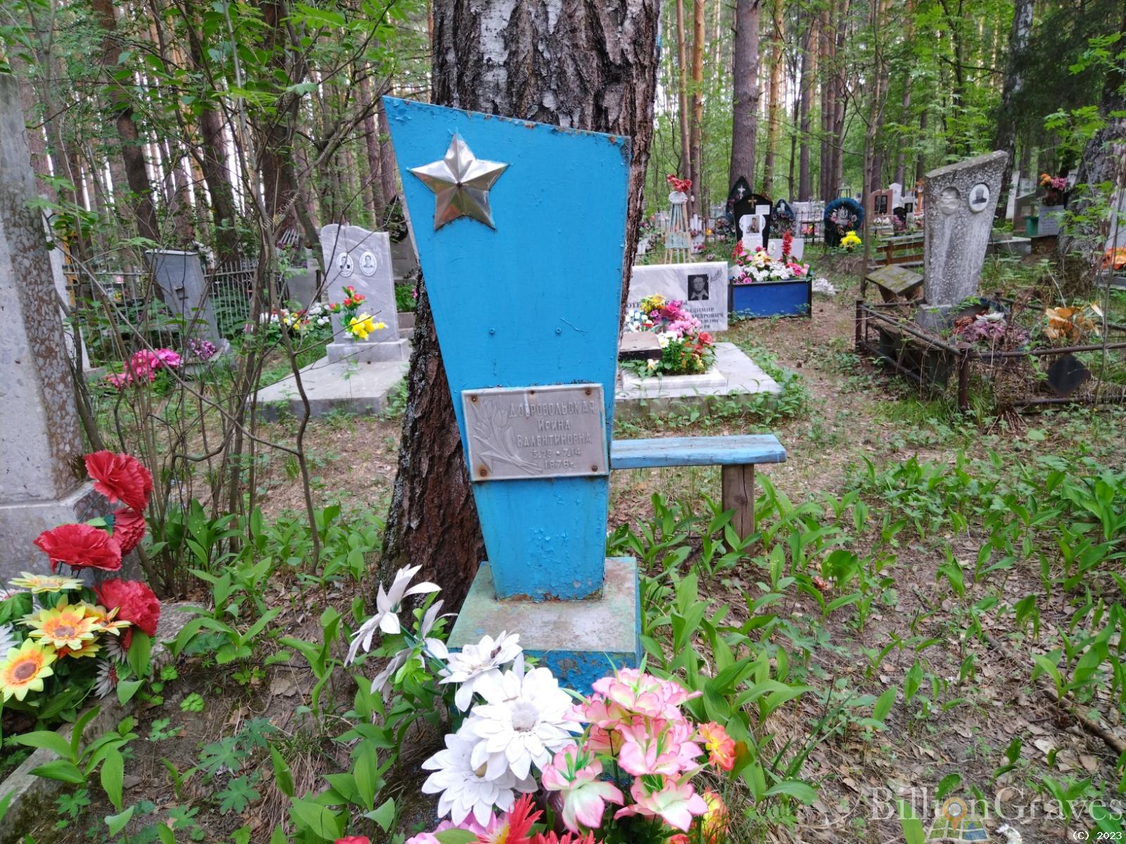 Добровольская Ирина Валентиновна