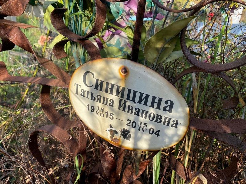 Синицина