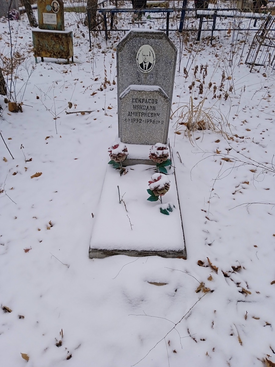 Некрасов Николай Дмитриевич