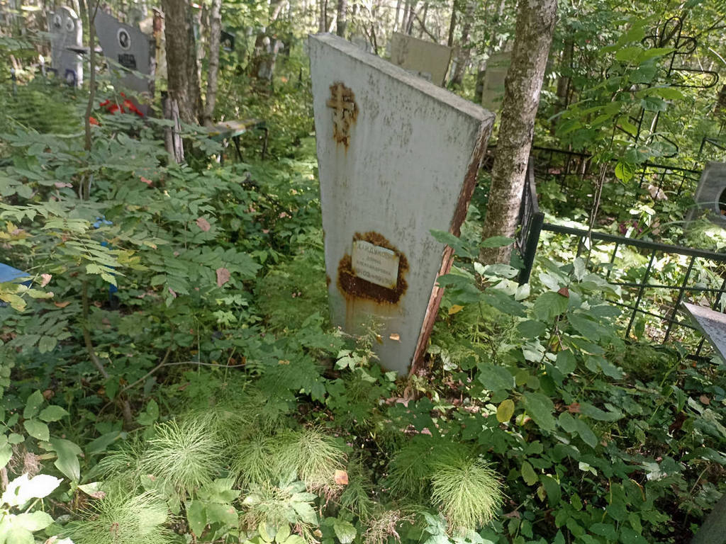 Хайдукова Домна Александровна