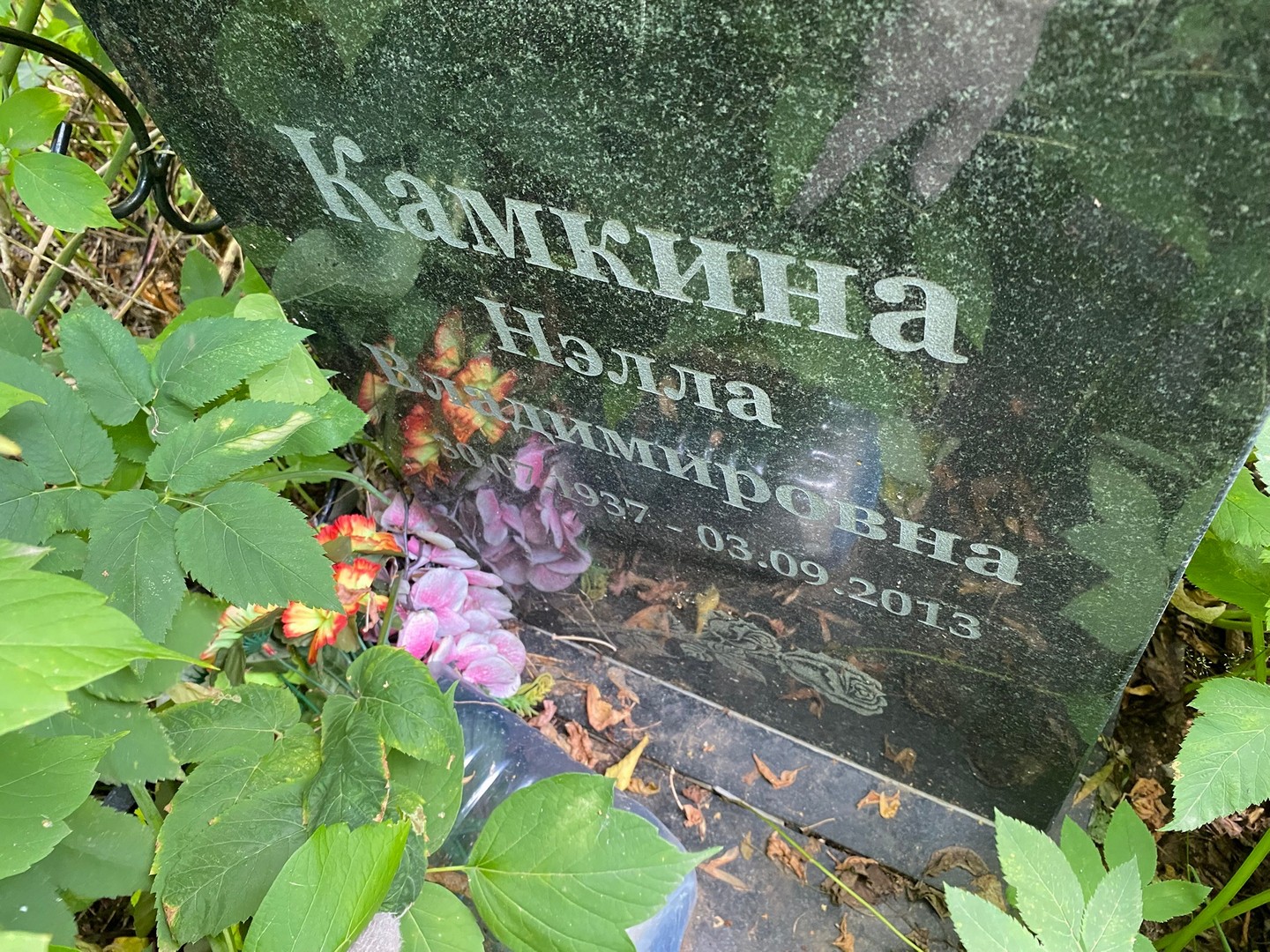 Нэлла Камкина Владимировна