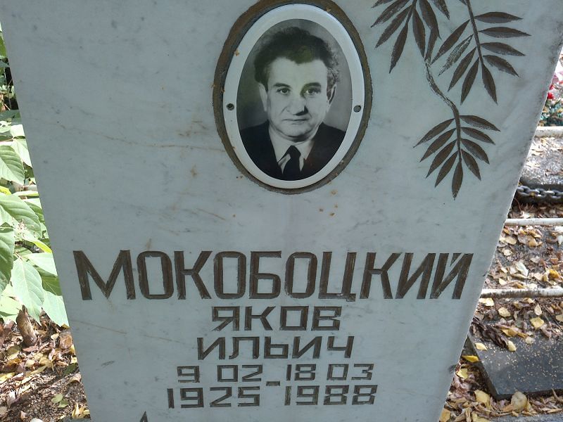 Мокобоцкий