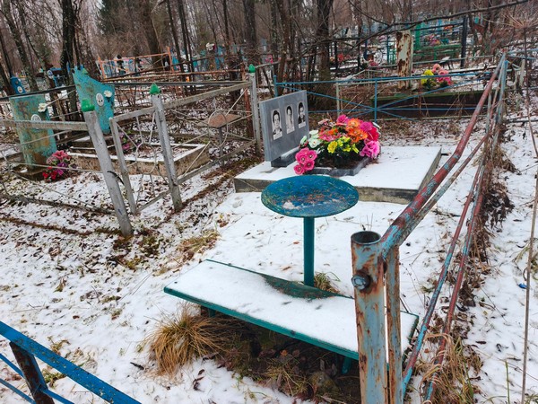 Боровикова Александра Георгиевна