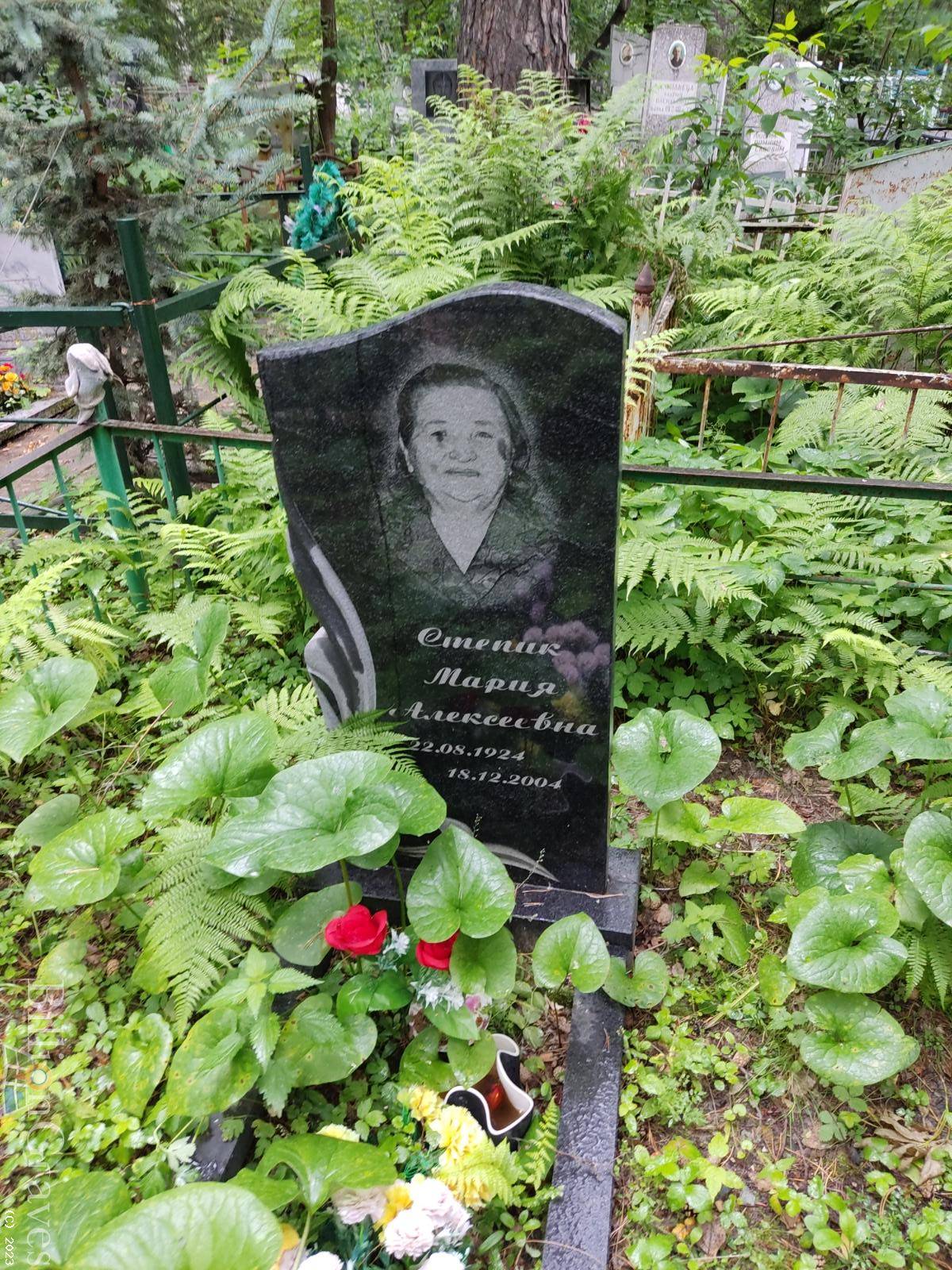 Степик Мария Алексеевна
