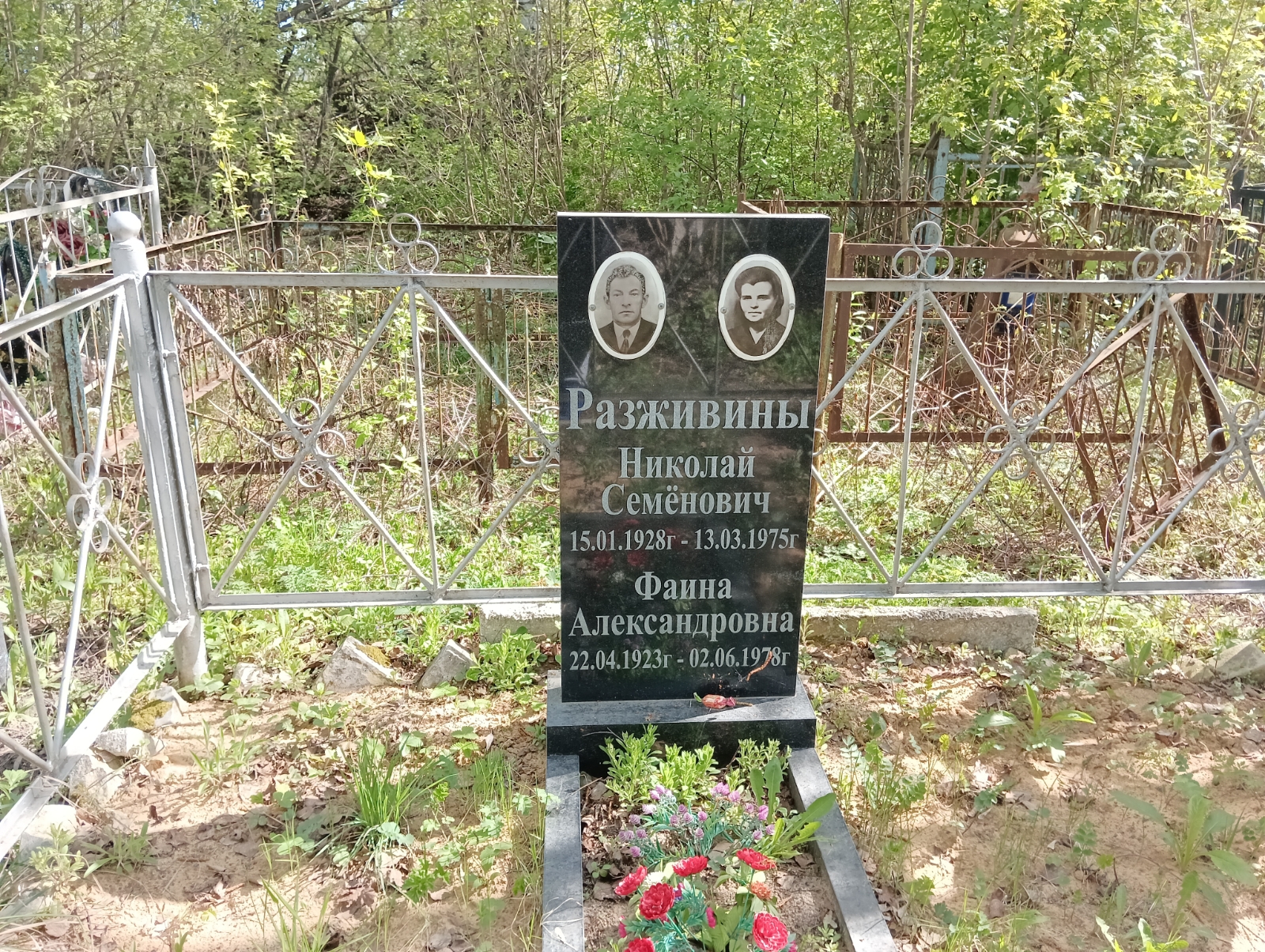 Разживин Николай Семенович
