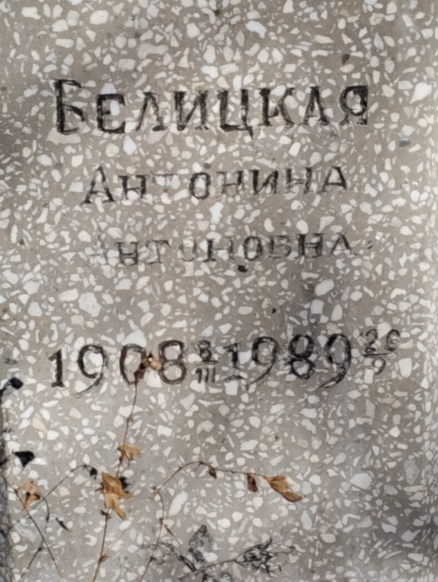 Белицкая Антонина Антоновна