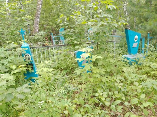 Кривошеев Александр Анатольевич