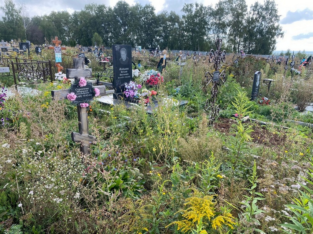 Сергеева Марина Александровна