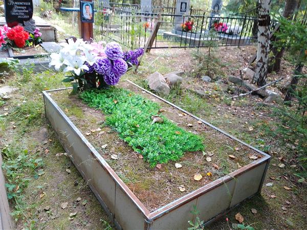 Грищук Павел Николаевич