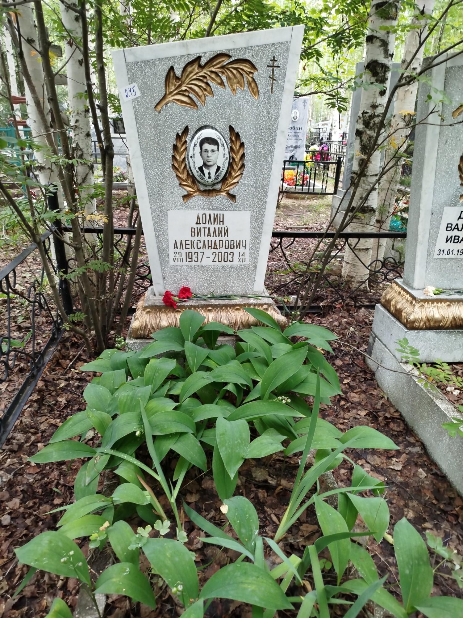 Долин Виталий Александрович