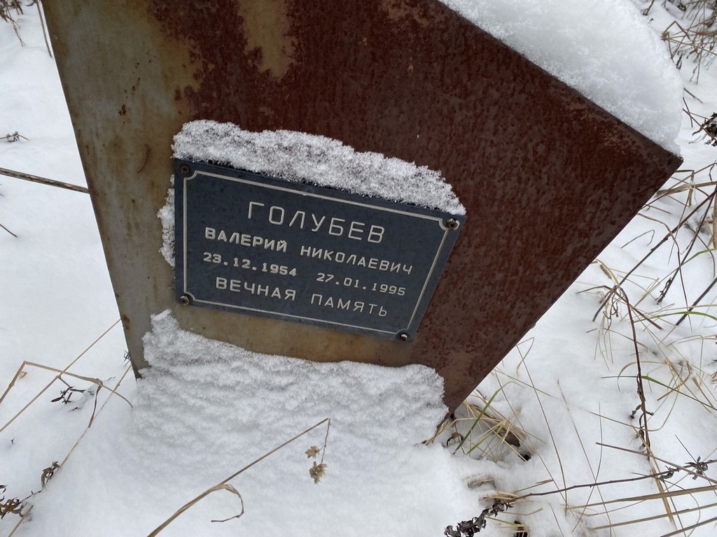 Голубев Валерий Николаевич