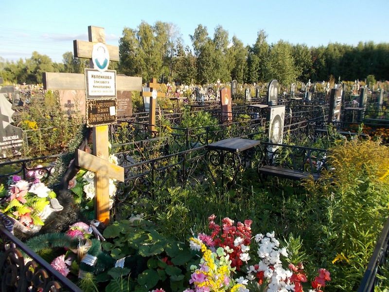 Кшнякина Анна Анатольевна