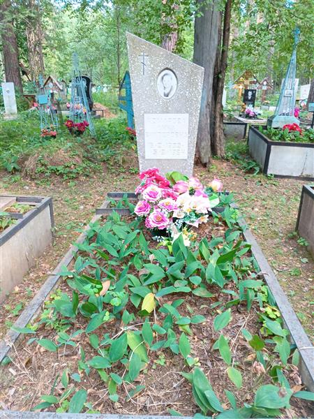 Комарова Анна Викторовна