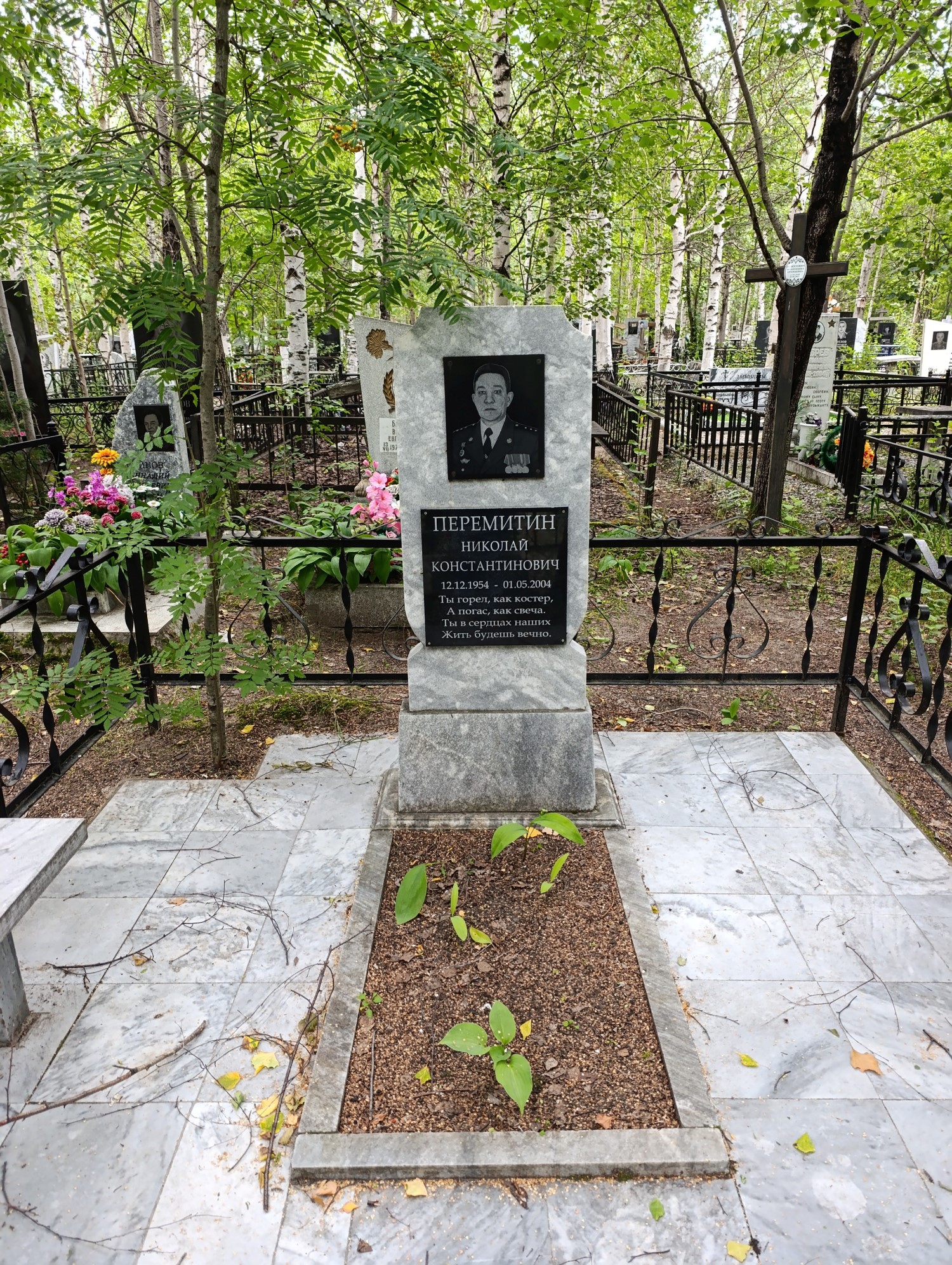 Перемитин Николай Константинович