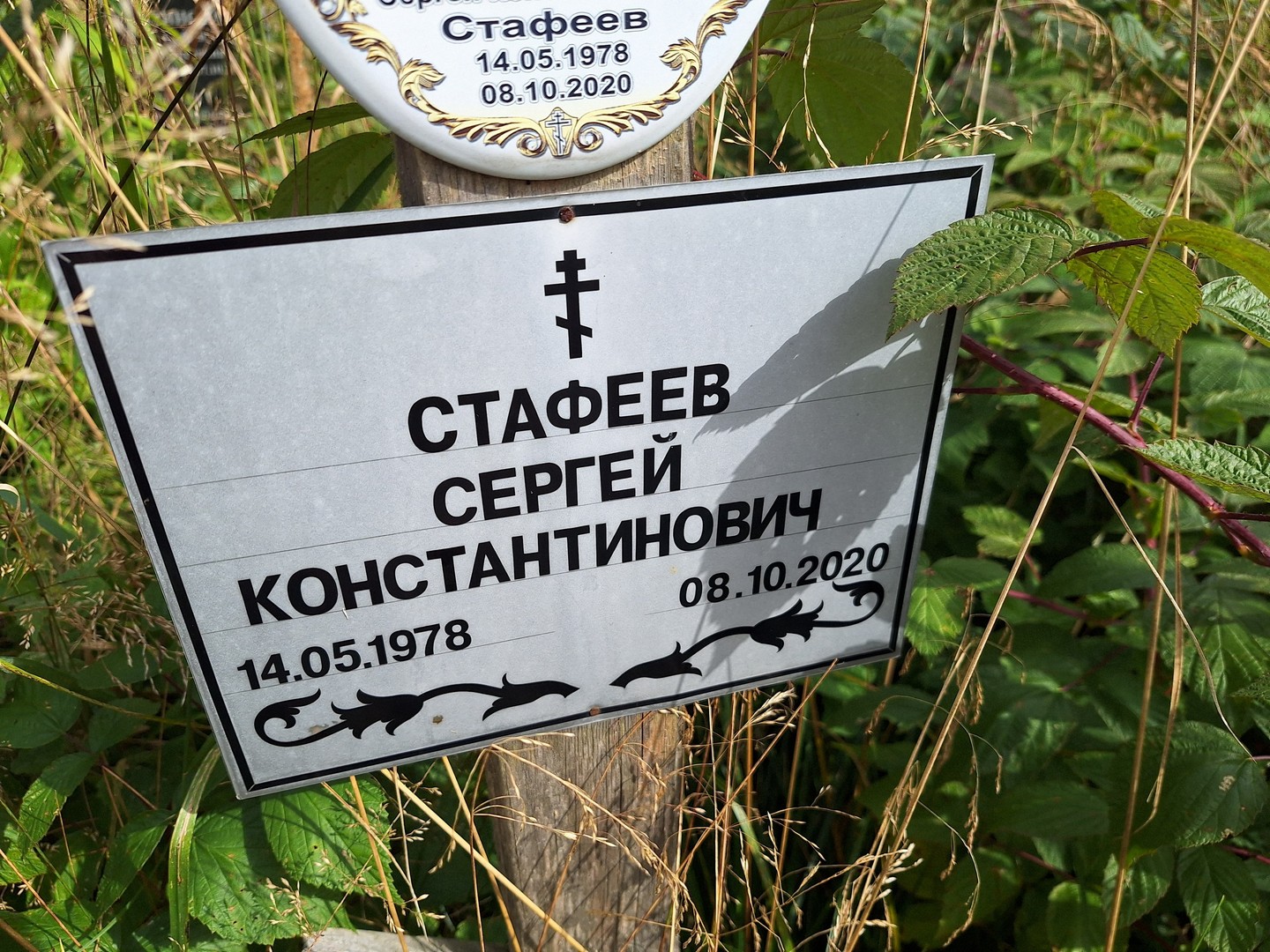 Стафеев