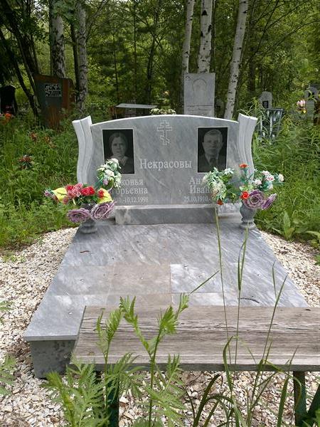 Некрасов Андроник Иванович