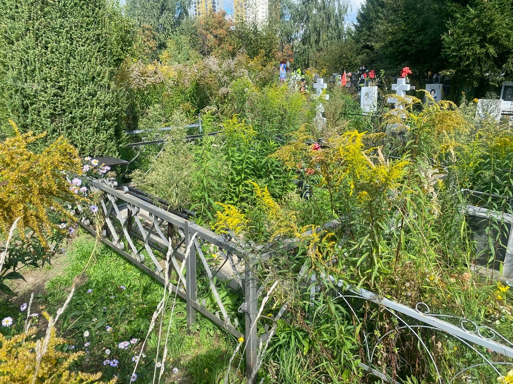 Уваров Арсений