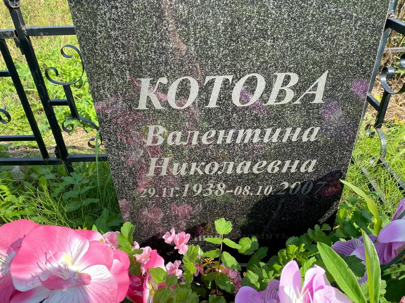 Котова