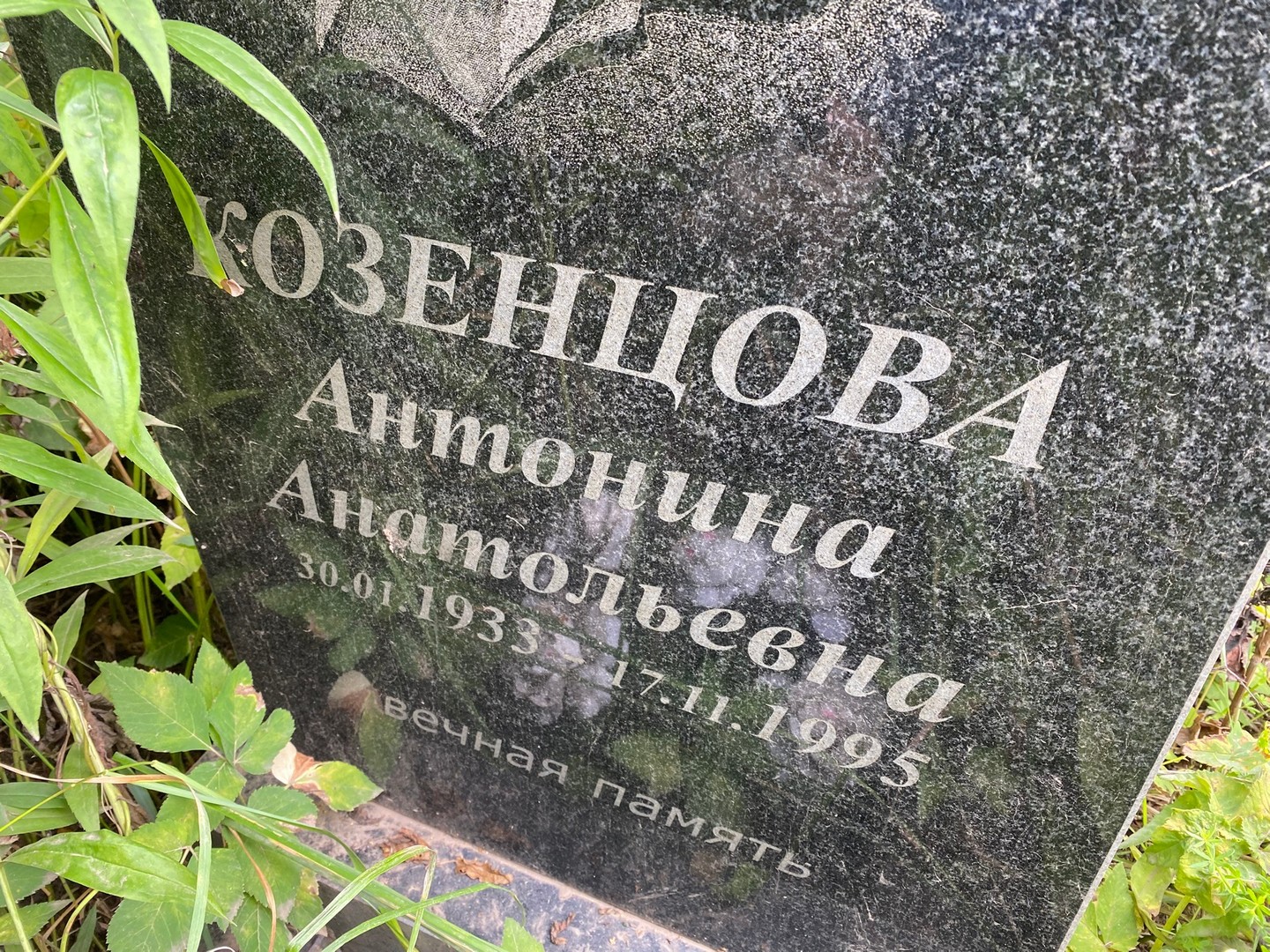 Козенцова Антонина Анатольевна