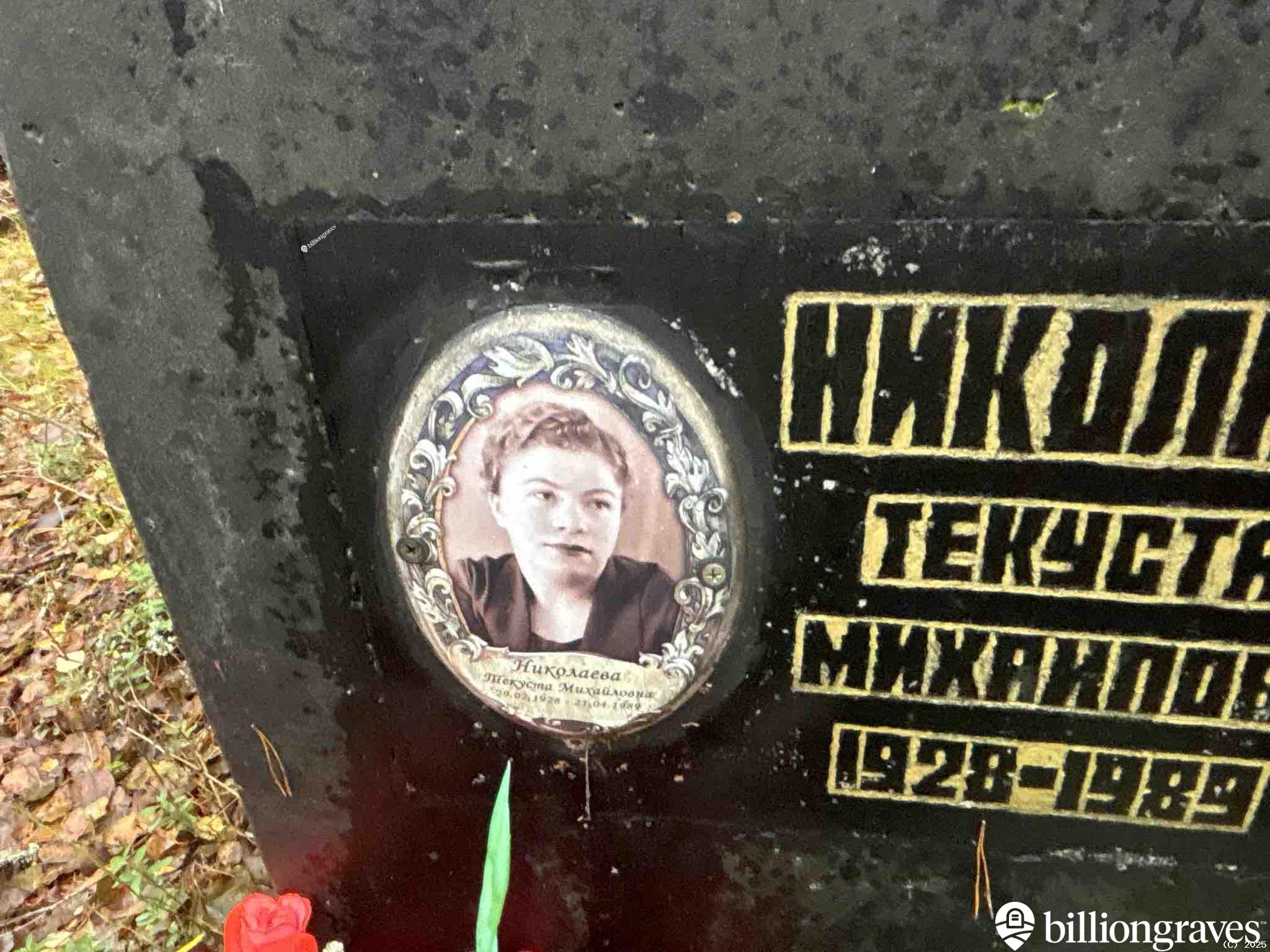 Николаева Текуста Михайловна