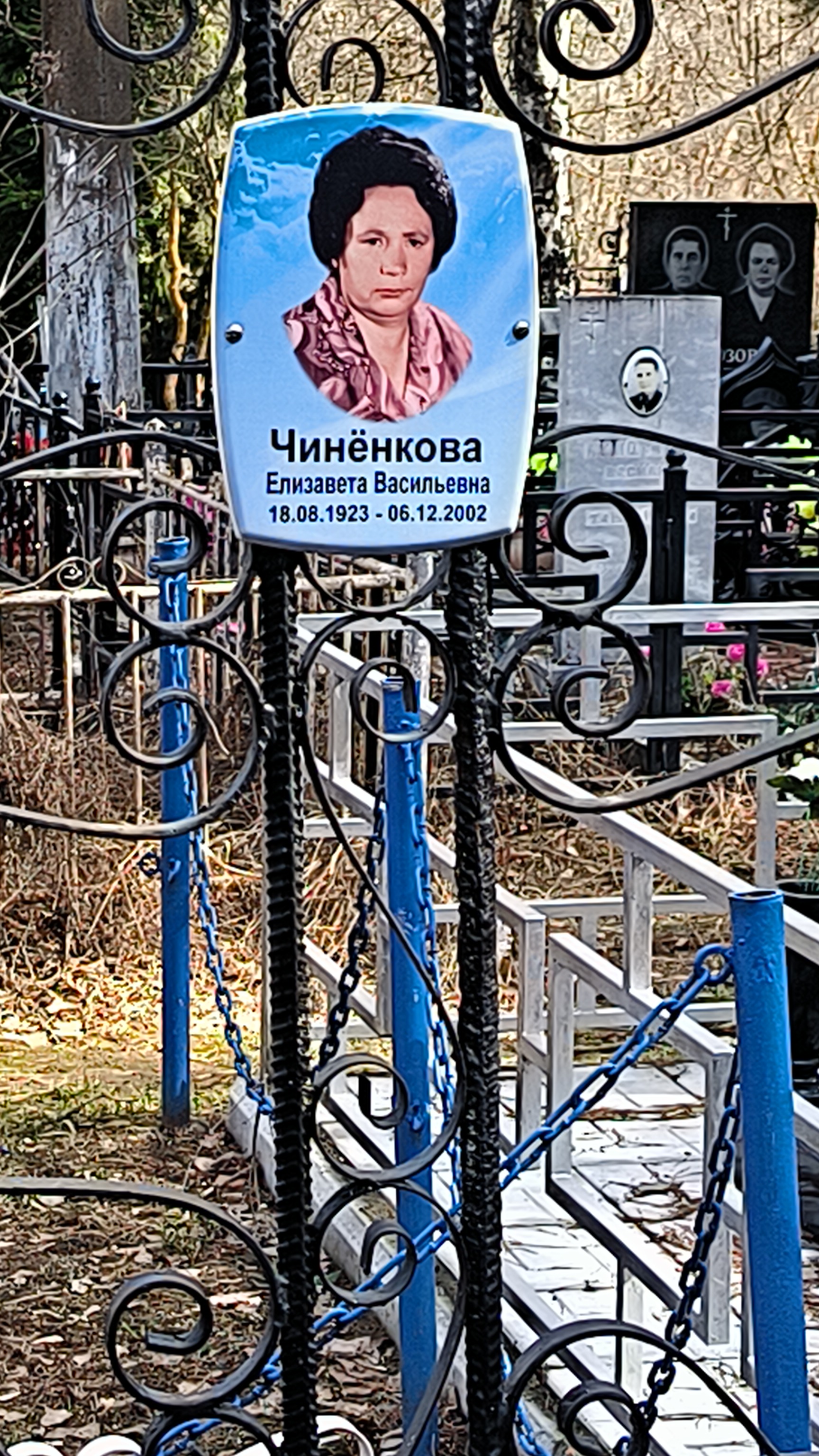 Чинёнкова Елизавета Васильевна
