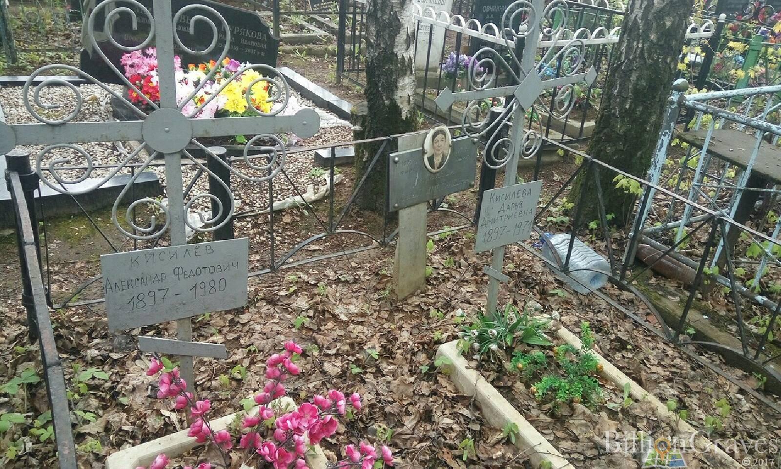 Киселева Дарья Дмитриевна