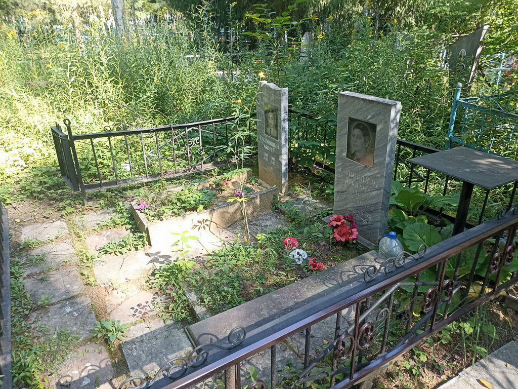 Солоницын Аркадий Яковлевич