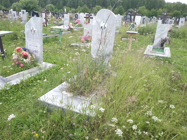 Паньшин Александр Алексеевич