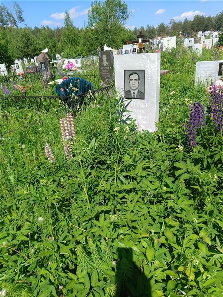 Толмачёв Евгений Анатольевич