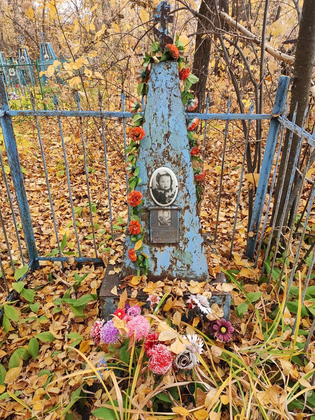 Опенышева Светлана