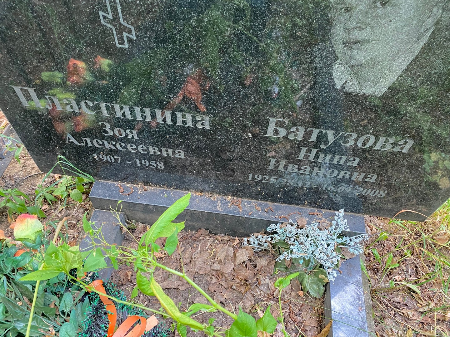 Пластинина