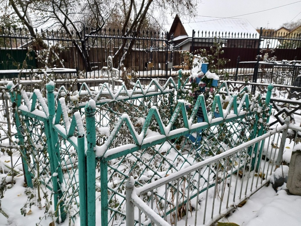 Мишина Александра Андреевна