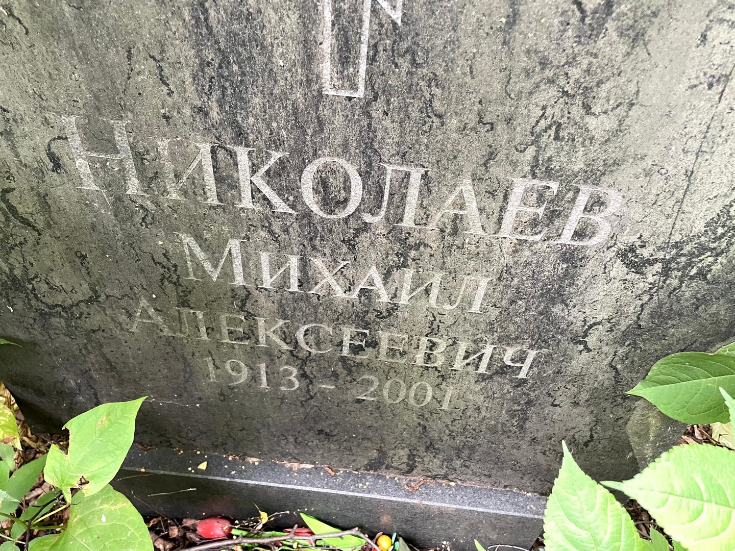 Николаев